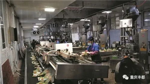 丰都大地涌春潮 1228家企业复工复产进行时，通风设备保障健康生产